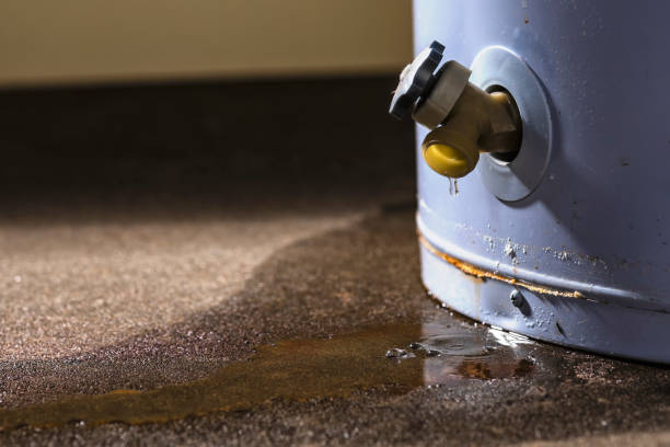  Elliston, VA Water damage restoration Pros