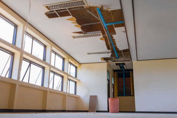Best Water damage restoration mold remediation  in Elliston, VA