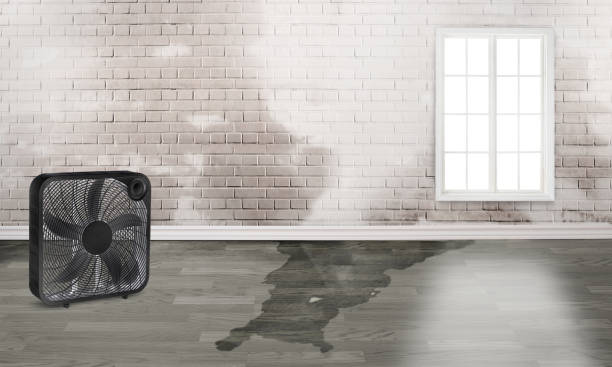 Best Water damage contractors near me  in Elliston, VA