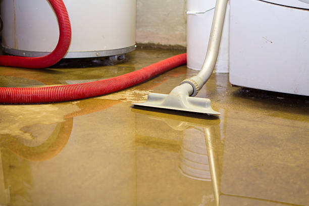 Best Water damage restoration near me  in Elliston, VA