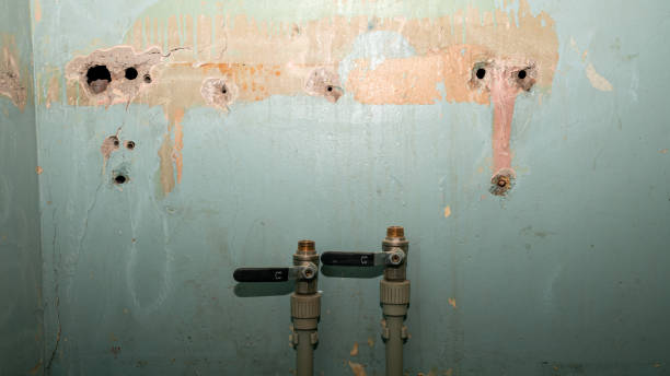 Best Water damage repair service  in Elliston, VA