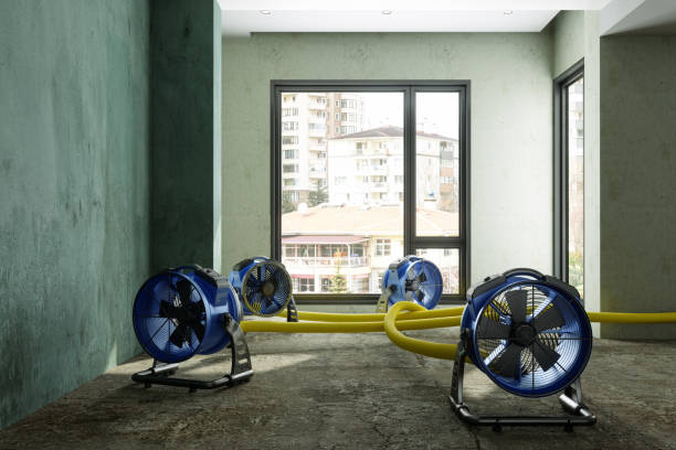 Water damage restoration mold remediation in VA